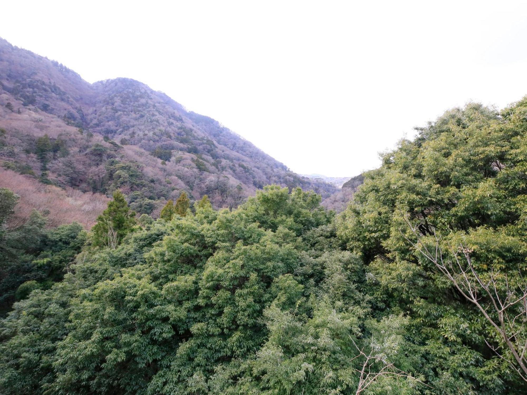 Hot Spring Inn Hakone Suisen Εξωτερικό φωτογραφία